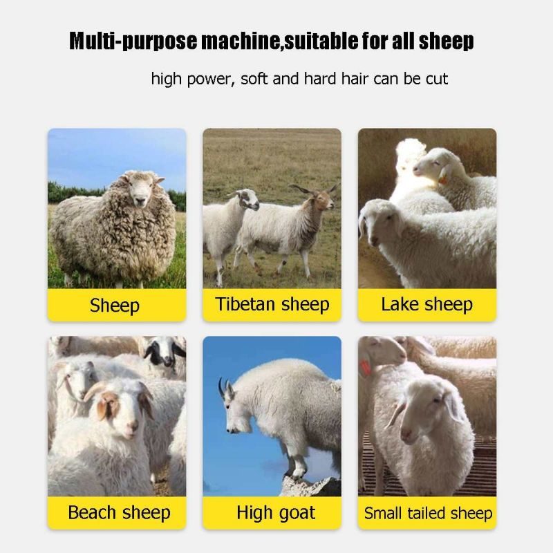 Nožnice Na Ovce Profesionálne Elektrické Na Starostlivosť O Zvieratá