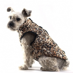 Cool Dog Vest Vetruodolná Bunda Oblečenie Pre Domáce Zvieratá