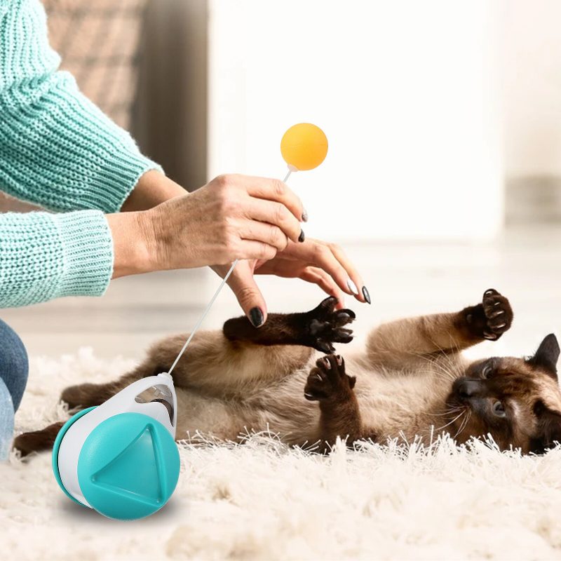 Hračka Pre Mačky 360° Samotočiaca Sa S Mačacou Loptičkou Zaujímavá Interaktívna Pre Šteňa A Psa