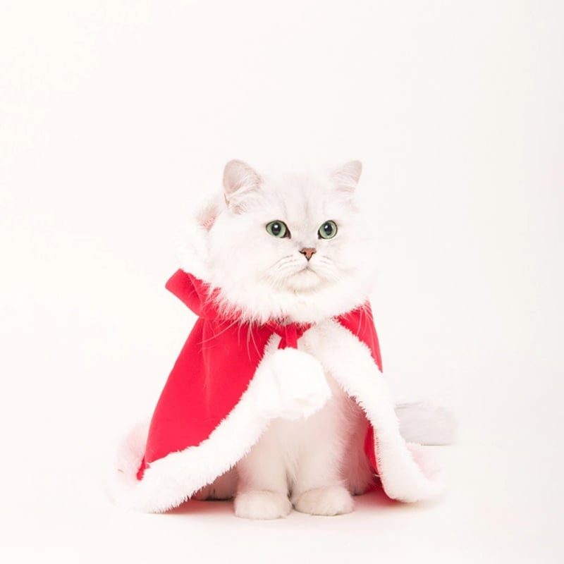 Novoročný Kostým Na Vianočný Klobúk Pre Mačky