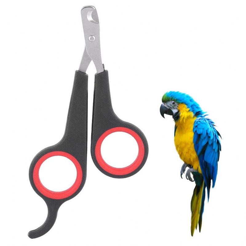 Bird Nail Clipper Nástroj Na Úpravu Papagájov