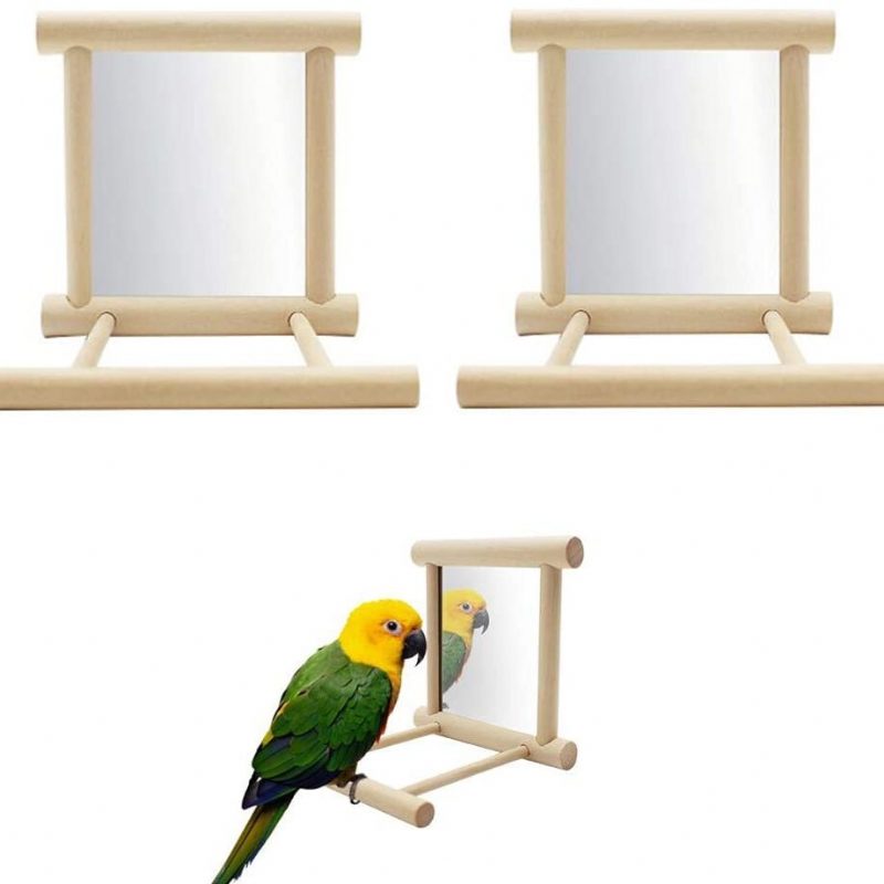 Parrot Bird Mirror Stoy Stojan Na Ostrieže