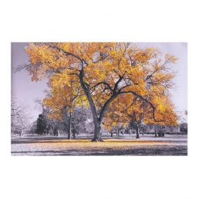 Veľký Strom Žlté Listy Čierna Biela Príroda Nástenná Umelecká Obrazová Tlač Na Domácu Nástennú Dekoráciu