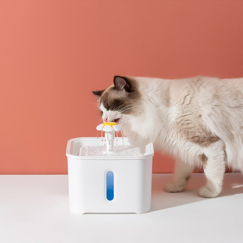 Inteligentný Automatický Dávkovač Vody Automatické Kŕmidlá Pre Mačky
