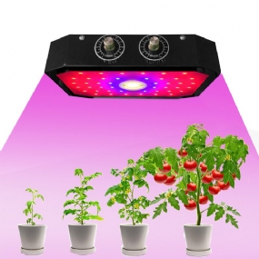 1000w 85-265v Led Svetlo Na Pestovanie Rastlín S Plným Spektrom Nastaviteľné Pre Izbovú Zeleninu