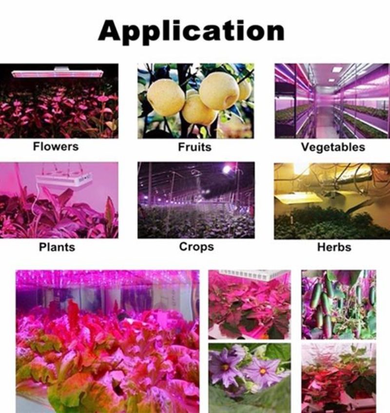 100w Full Spectrum 100 Led Grow Light Lampa Pre Rastliny Hydroponická Izbová Kvetina