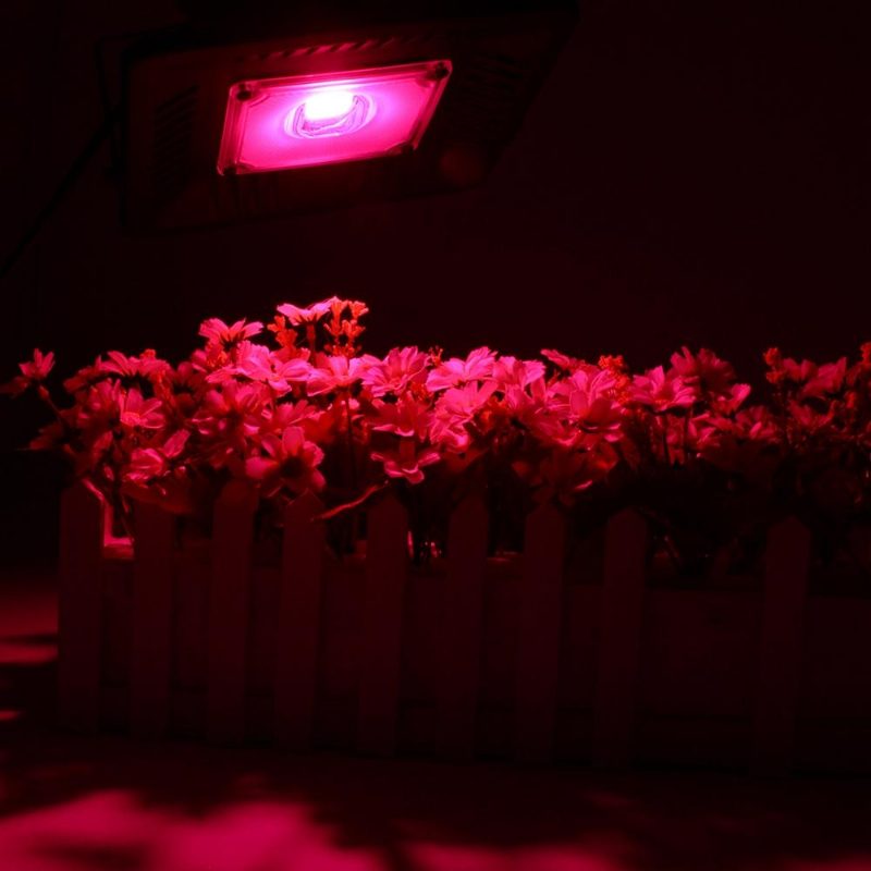 100w Full Spectrum Cob Led Grow Flood Light Vodotesná Rastlina Veg Flower Hydroponická Lampa Ac90-264v