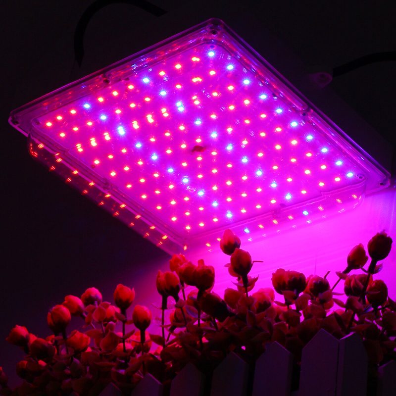 100w Led Svetelný Panel Na Pestovanie Rastlín V Skleníku Pre Hydroponické V Plnom Spektre