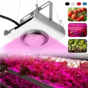 144led Cob Plant Grow Light Full Spectrum 380-800nm 4000k Hydroponic Growth Lamp