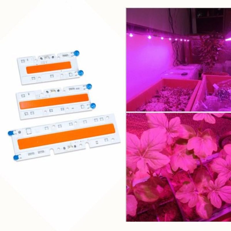 30w/50w/70w Vysoký Výkon Full Spectrum Led Grow Cob Svetelný Čip Pre Rastliny Zelenina Ac110v/ac220v