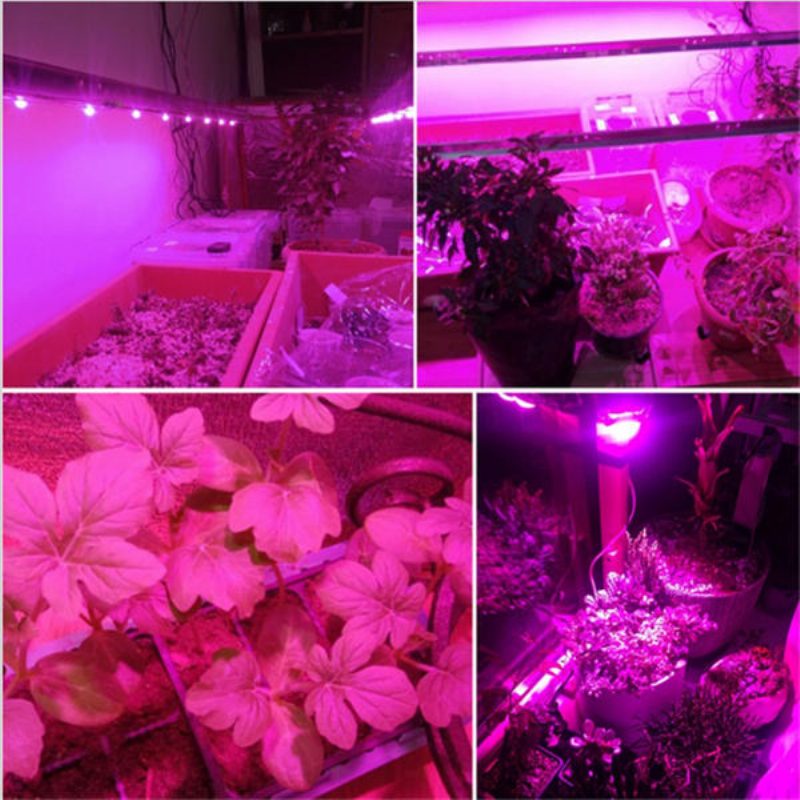 30w/50w/70w Vysoký Výkon Full Spectrum Led Grow Cob Svetelný Čip Pre Rastliny Zelenina Ac110v/ac220v