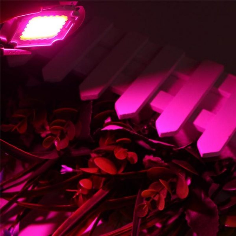 30w Full Spectrum Led Cob Chip Light Plant Grow Ac220/110v