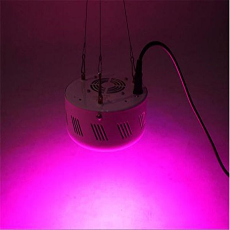 40w Full Spectrum Ufo 50 Led Svetlo Rastlín Vnútorná Hydroponická Pestovateľská Lampa Pre Rastlinný Kvet Ac85-265v