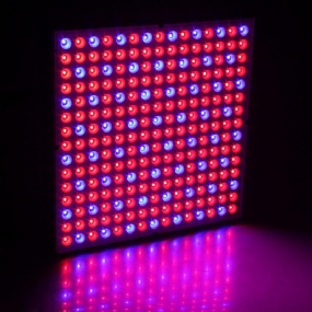 45w 200w Reflektorový Pohárik Full Spectrum Led Grow Lights For Tent Box Vnútorný Skleník