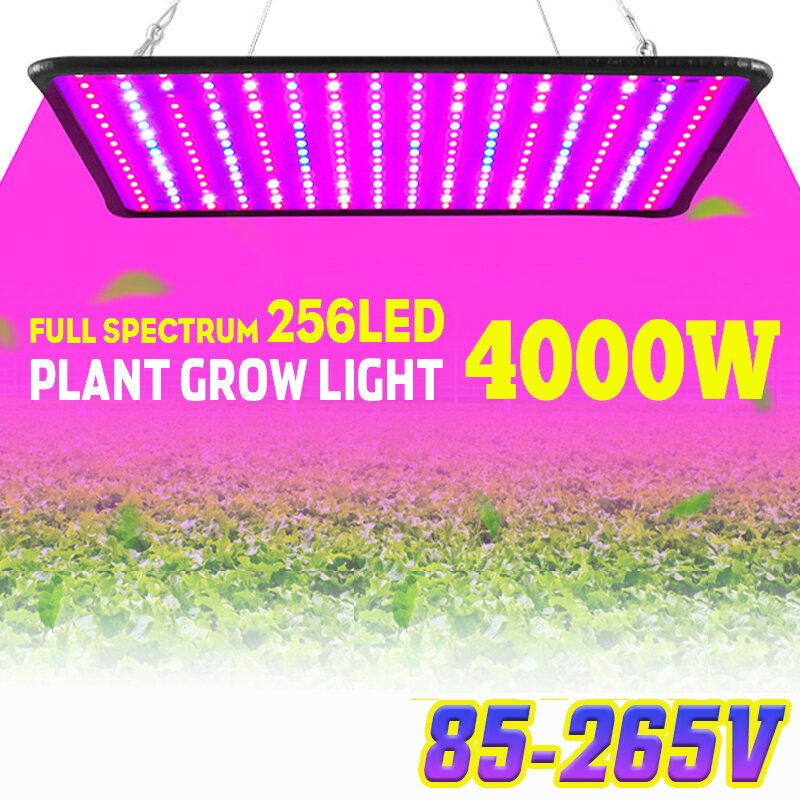 5000w Led Full Spectrum Plant Uv Light Rastlinná Lampa Na Pestovanie Zeleniny Vnútorná Hydroponická