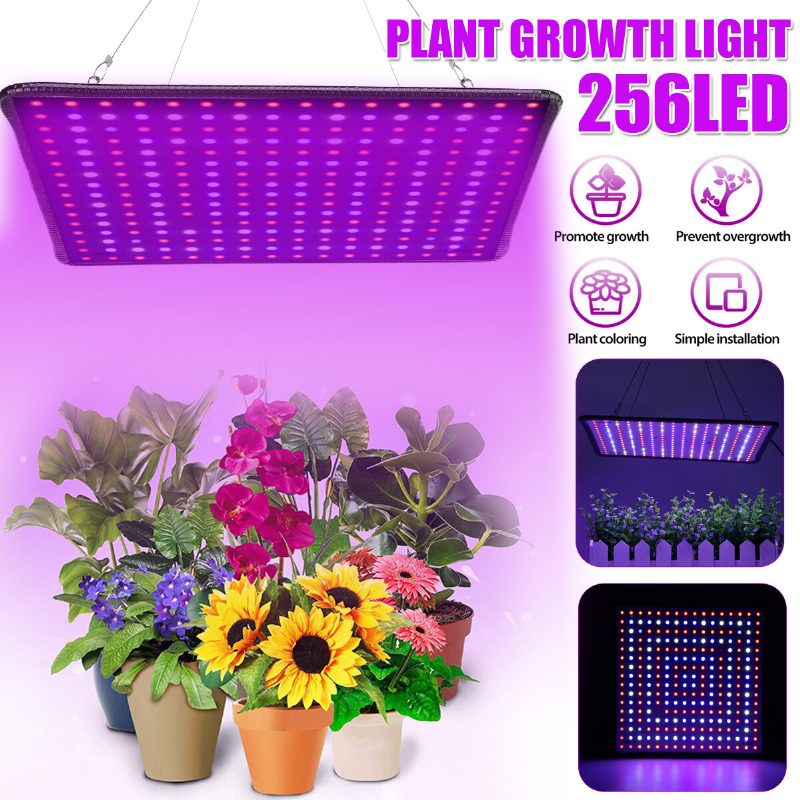 5000w Led Full Spectrum Plant Uv Light Rastlinná Lampa Na Pestovanie Zeleniny Vnútorná Hydroponická