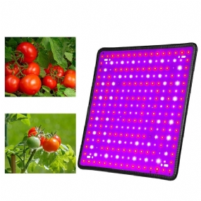5000w Led Full Spectrum Plant Uv Light Rastlinná Lampa Na Pestovanie Zeleniny Vnútorná Hydroponická
