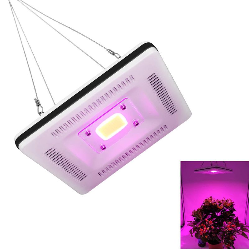 50w Cob Led Štvorcové Plnospektrálne Grow Svetlo Vodotesné Ip64 Záplavová Lampa Rastlina Kvet Vnútorný Hydroponický Skleník