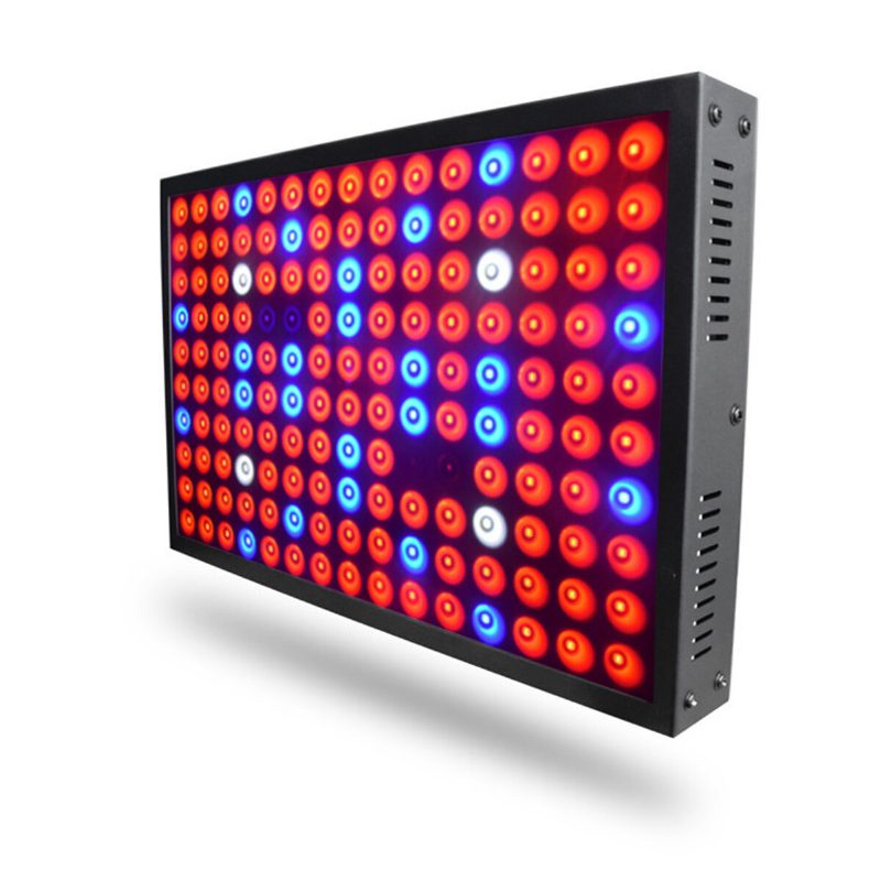 600w Full Spectrum Led Grow Light Hydroponická Interiérová Panelová Lampa Na Pestovanie Zeleniny V Kvetináči