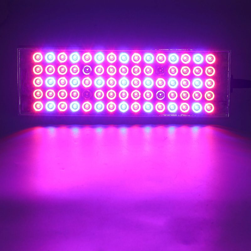 800w Led Lampa Na Pestovanie Rastlín S Plným Spektrom Pre V Interiéri Pre Hydropóniu