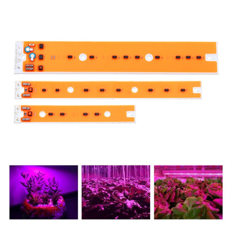 Ac110v/220v 30w 50w 80w Full Spectum Led Cob Čip Grow Svetelný Zdroj Pre Záplavovú Jódovo-wolfrámovú Lampu