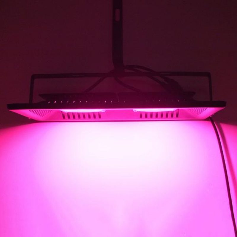 Ac220v 100w Full Spectrum Led Flood Grow Light Vodotesné Ip65 Pre Izbovú Našu Továreň