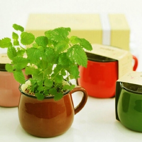 Keramika Diy Mini Šálka Na Kávu Črepníková Rastlina Office Desktop Plant Decor