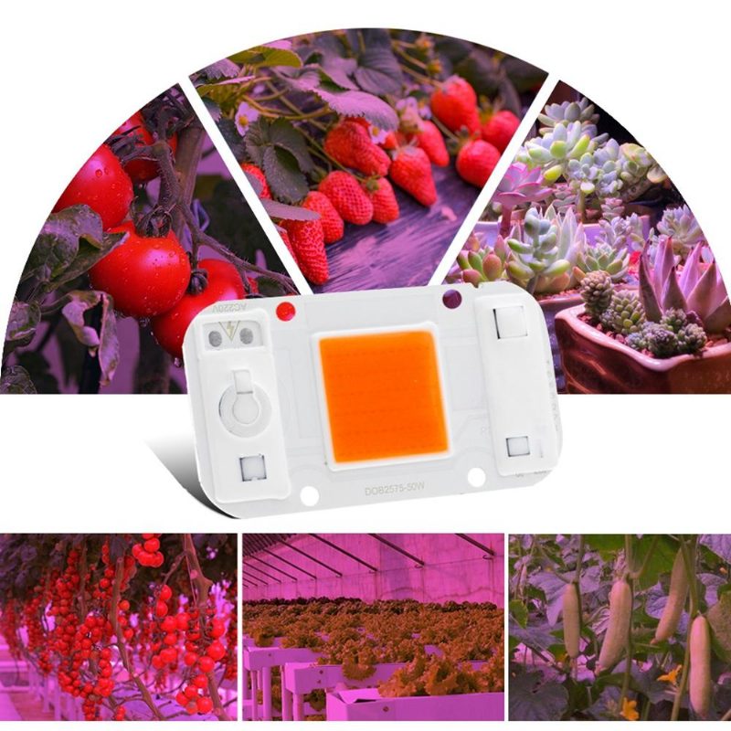 Lustreon 20w 30w 50w Cob Led Grow Light Chip S Plným Spektrom Diy Pre Izbové Rastliny Hydroponice Ac220v