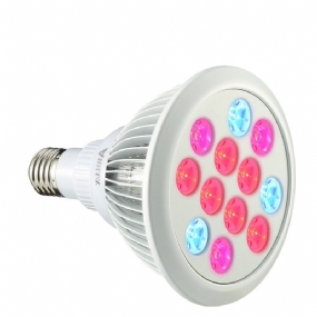 Pl-gl 01 E27 12w/24w Led Žiarovka Na Pestovanie Rastlín Pre Záhradnú Hydropóniu Skleníkové Organické