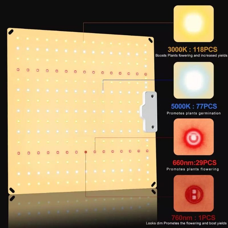 Qbcc600 Pro Ir+uv Tichá Bezventilátorová Celospektrálna Led Grow Light Vysoká Ppfd Pre 2x3ft Stan Pre Sadenice Zeleniny A Kvitnutie