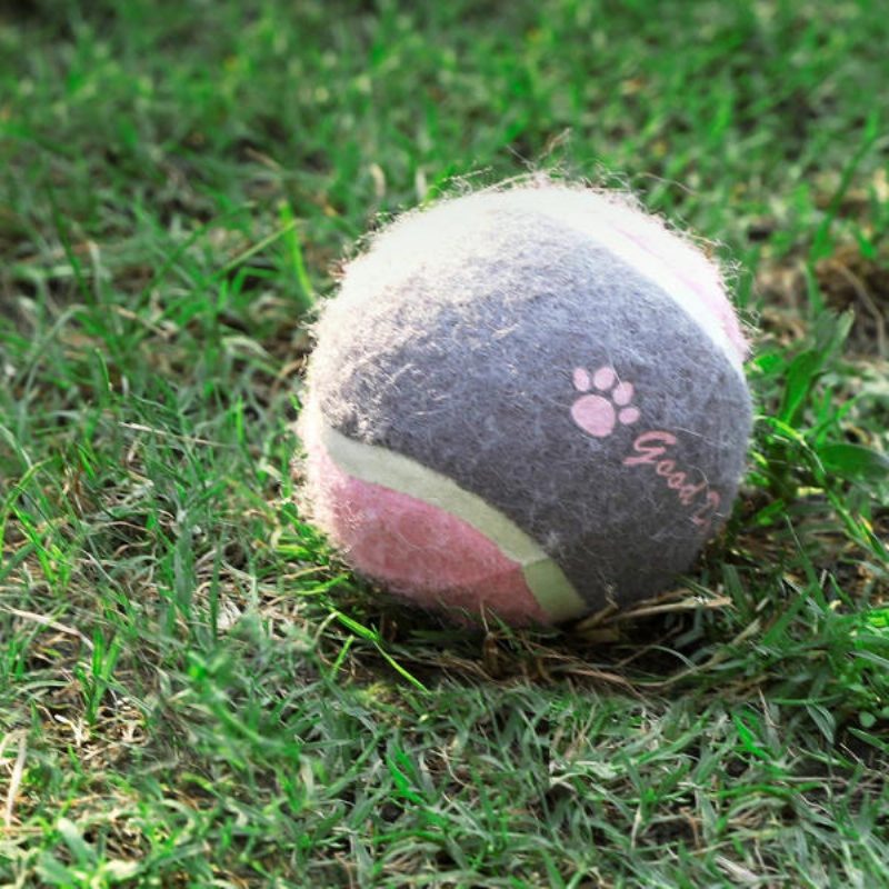 Pet Dog Tenis Naháňanie Tréningový Valček Ball Toys Form