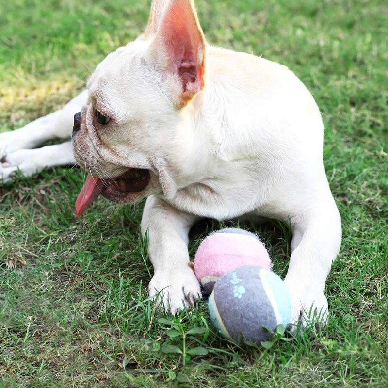 Pet Dog Tenis Naháňanie Tréningový Valček Ball Toys Form