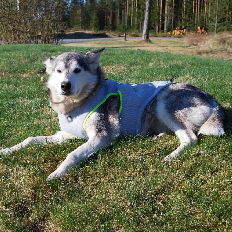 Poľovnícky Pes Pet Vesta Kabát Priedušný Opaľovací Krém Chladiaci Taktický Odev Bunda Pes Trakčné Lano